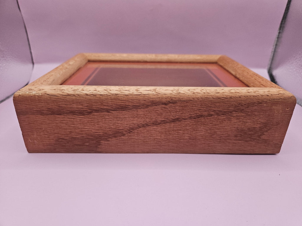 Vintage Shadow Box with Shell Display – 8.5"x6.25"