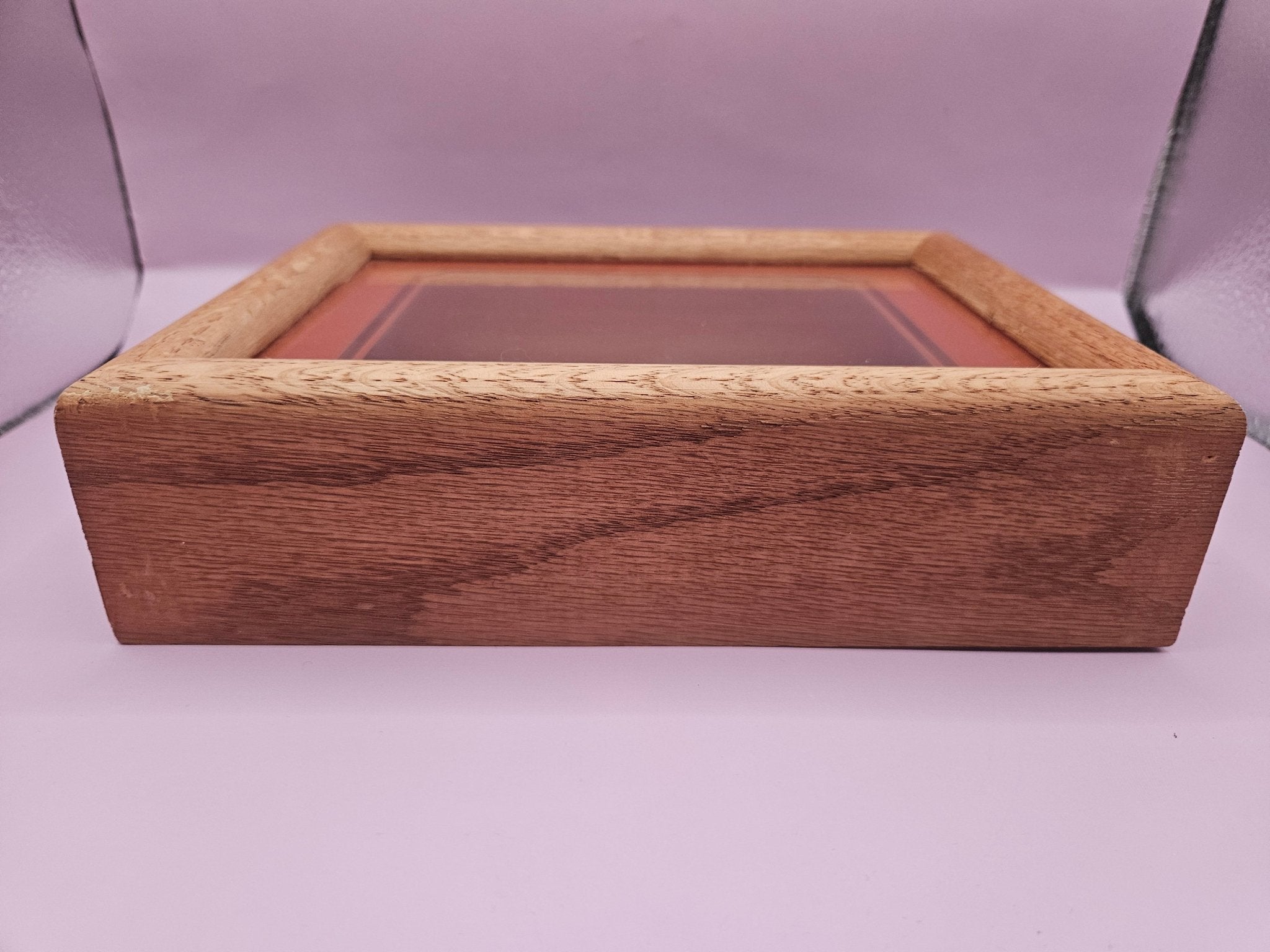 Vintage Shadow Box with Shell Display – 8.5"x6.25"
