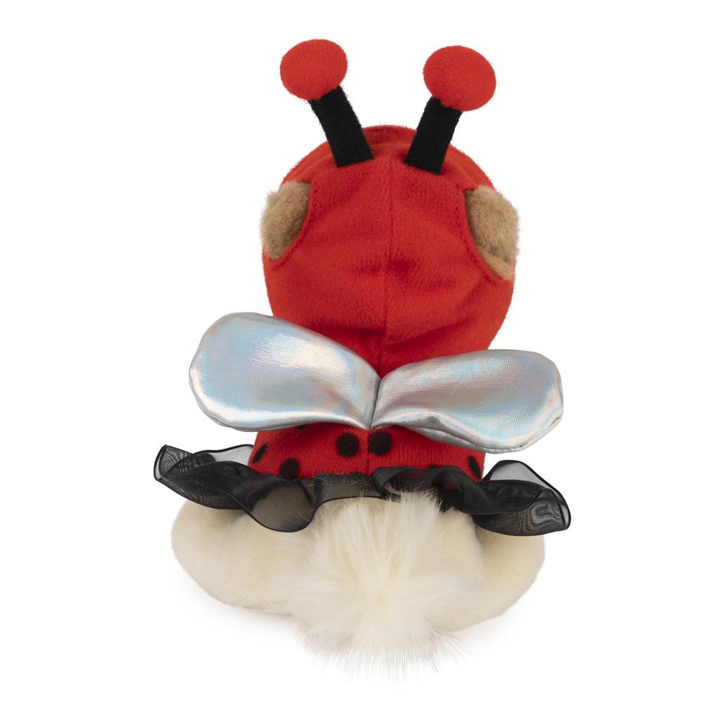 Itty Bitty Boo Ladybug