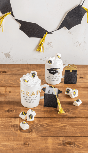 Adventure Begins Gourmet Grad Mug Set