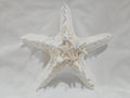 White Thorny Starfish 6.5"