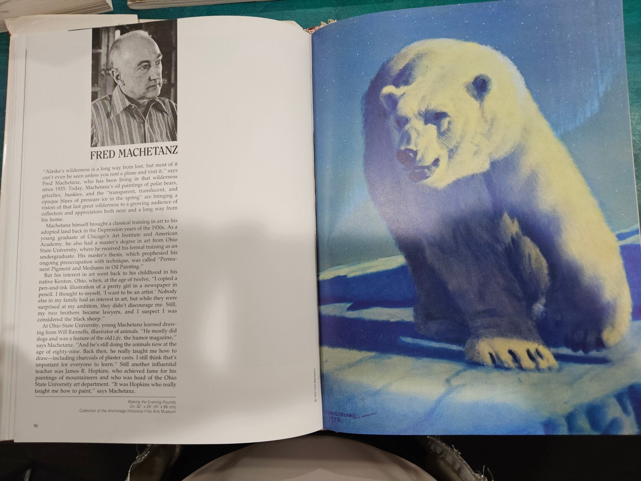 Wildlife Artists at Work by Patricia Van Gelder (Hardcover, Pre-Owned)