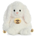Peek A Boo Bunny